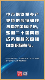 金句来了！习近平在二十国集团领导人第十六次峰会第一阶段会议上的讲话 - 广播电视