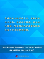 习近平在亚太经合组织第二十八次领导人非正式会议上的重要讲话要点速览 - 广播电视