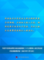 习近平在亚太经合组织第二十八次领导人非正式会议上的重要讲话要点速览 - 广播电视