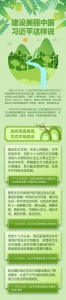 建设美丽中国，习近平这样说 - 广播电视