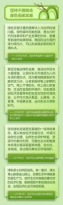 建设美丽中国，习近平这样说 - 广播电视