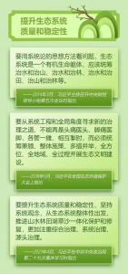 建设美丽中国，习近平这样说 - 广播电视